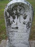 image of grave number 253107